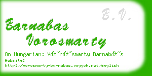 barnabas vorosmarty business card